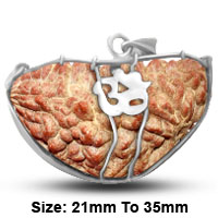 1 Mukhi